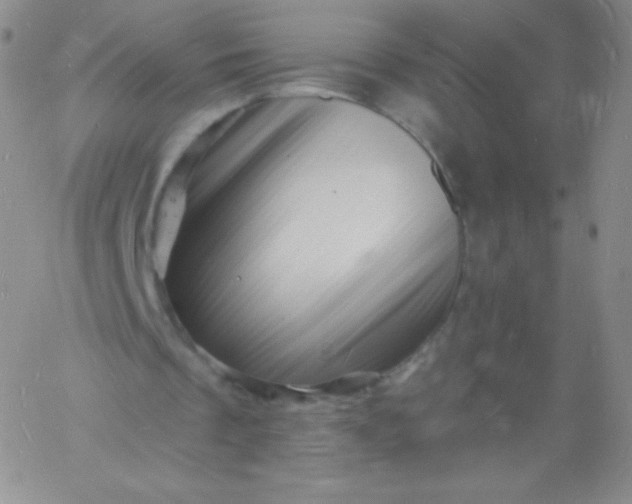 X0000060740289200511241645