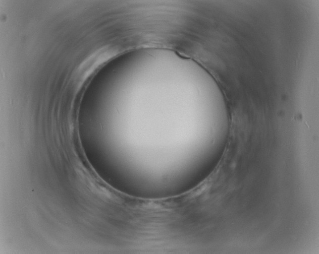 X0000060740290200511241645