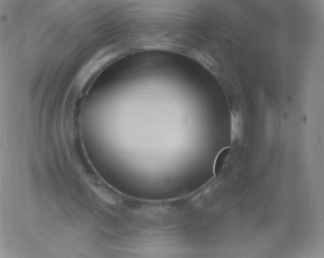 X0000060740291200511241645