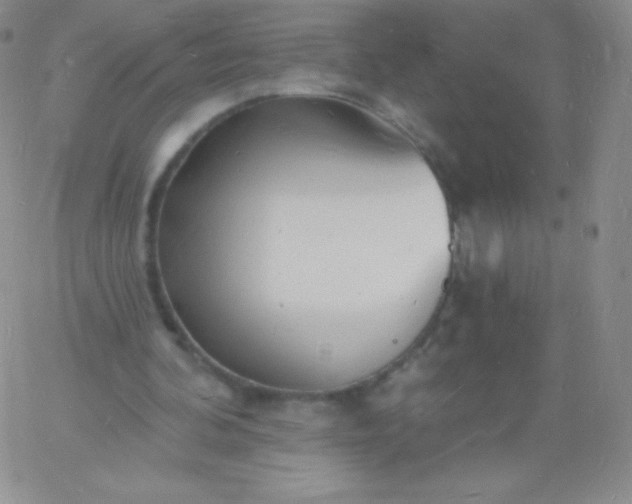 X0000060740292200511241645