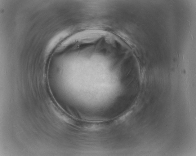 X0000060740293200511241645