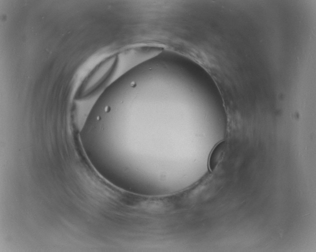 X0000060740294200511241645