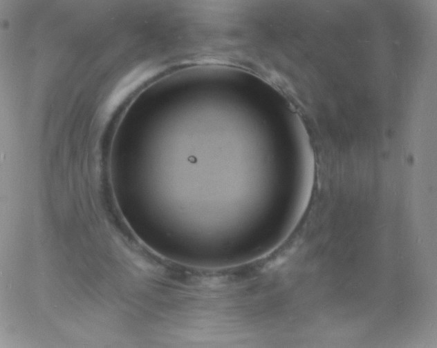 X0000060740295200511241645