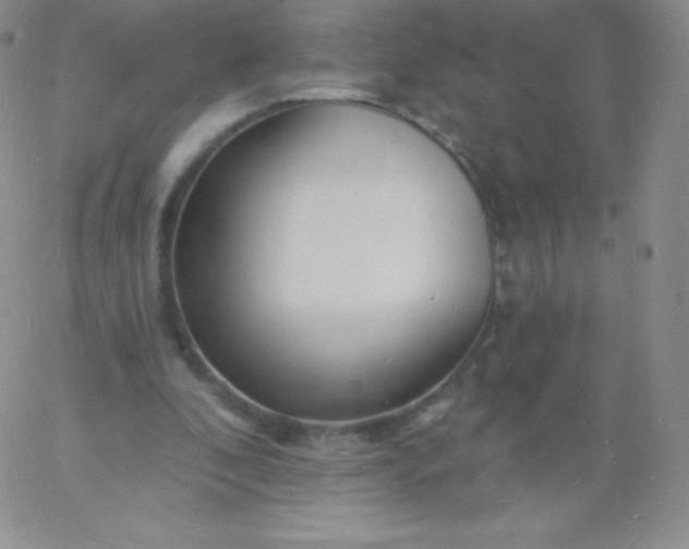 X0000060740296200511241645