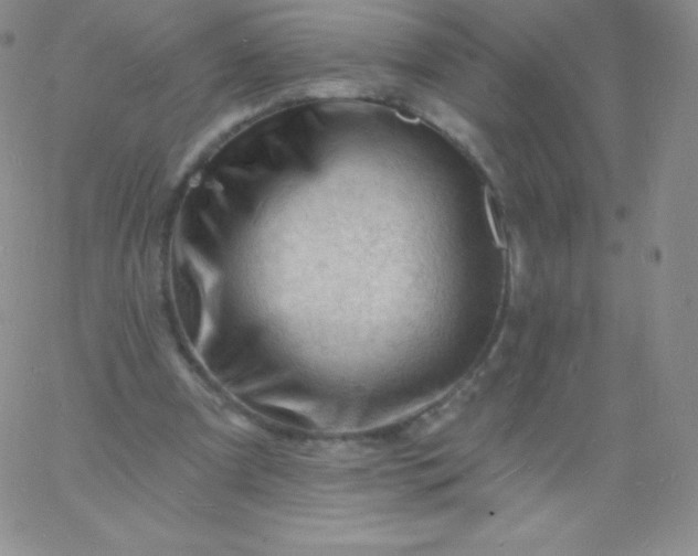 X0000060740297200511241645