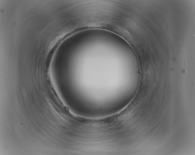 X0000060740299200511241645