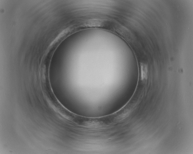 X0000060740300200511241645