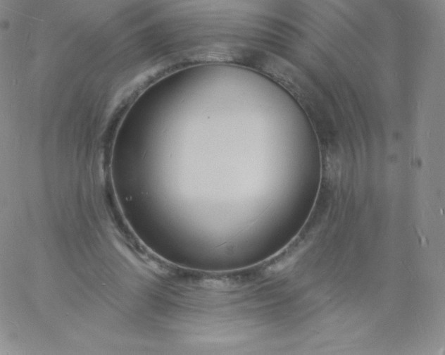 X0000060740302200511241645