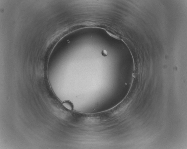 X0000060740303200511241645