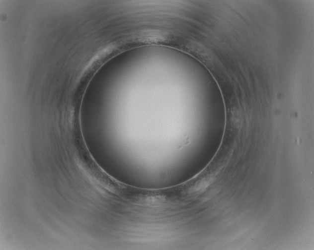 X0000060740304200511241645