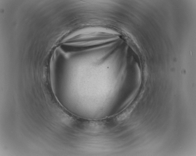 X0000060740305200511241645