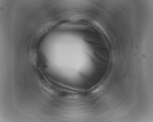 X0000060740307200511241645