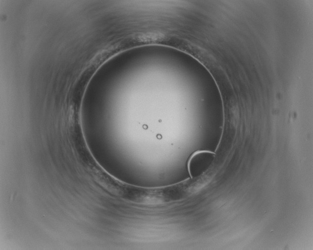 X0000060740308200511241645