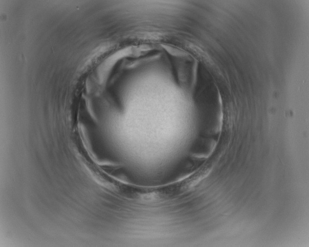 X0000060740309200511241645