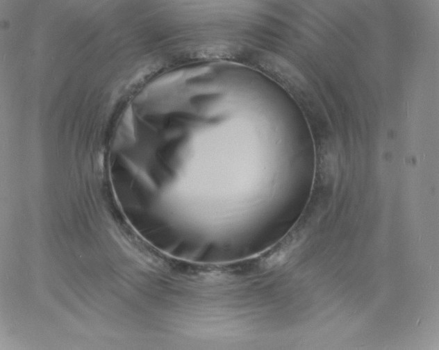 X0000060740310200511241645