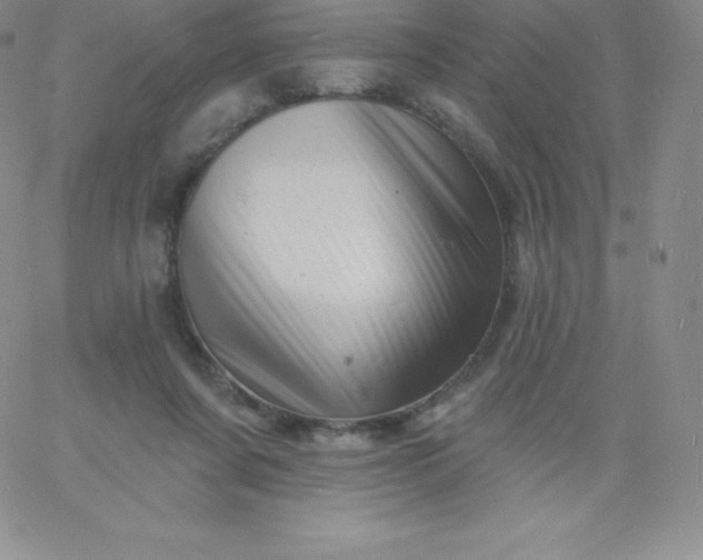 X0000060740311200511241645