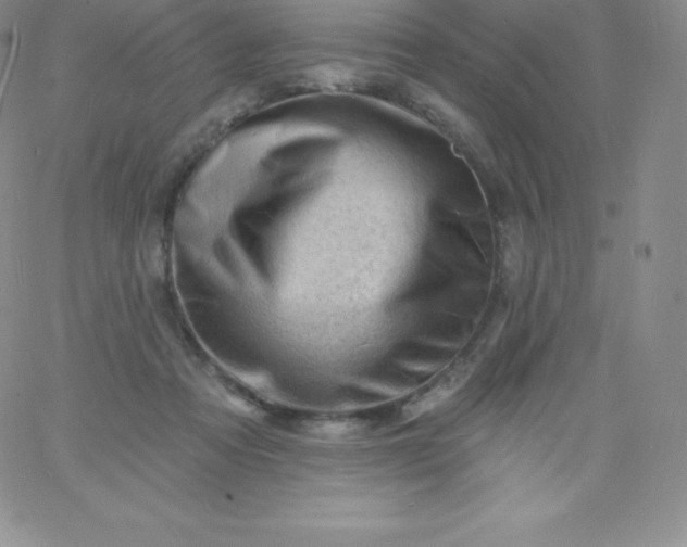 X0000060740313200511241644