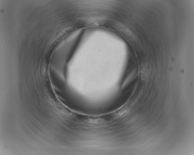 X0000060740314200511241644