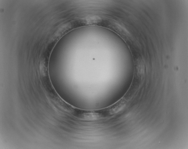 X0000060740316200511241644