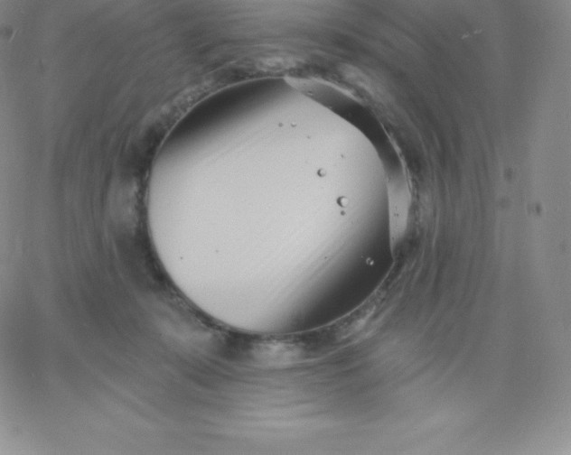 X0000060740319200511241644