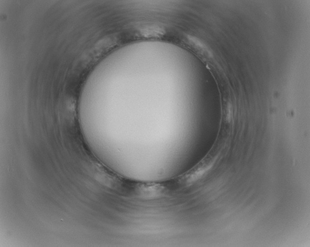 X0000060740321200511241644