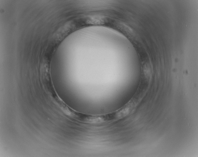 X0000060740322200511241644