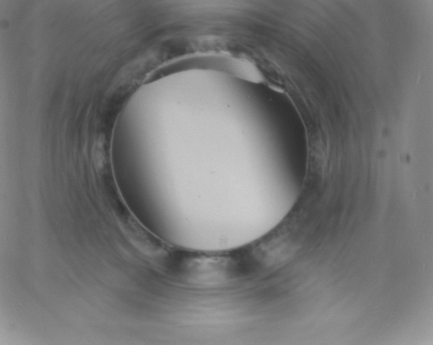 X0000060740323200511241644