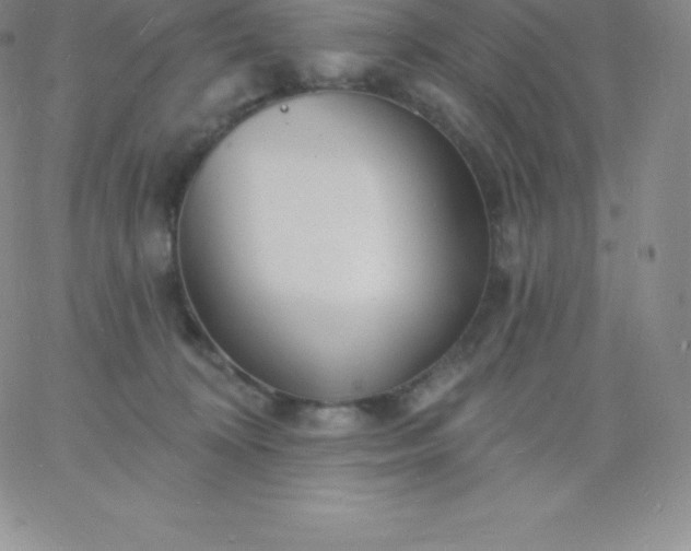 X0000060740324200511241644