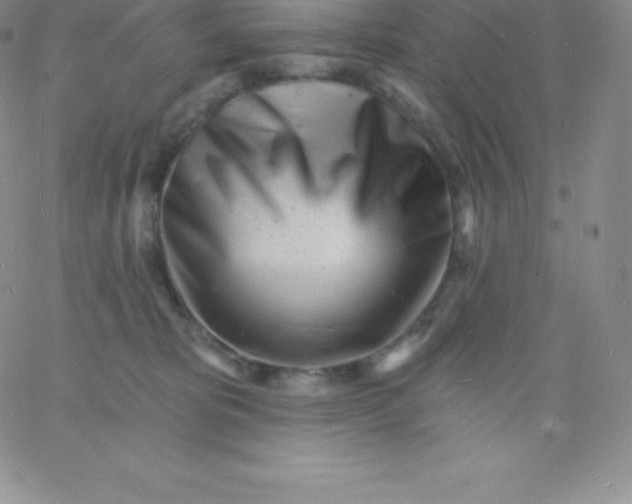 X0000060740325200511241644