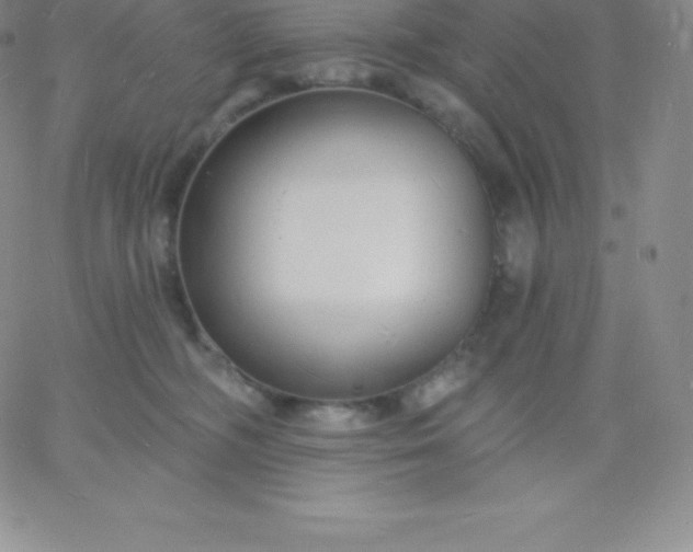 X0000060740326200511241644