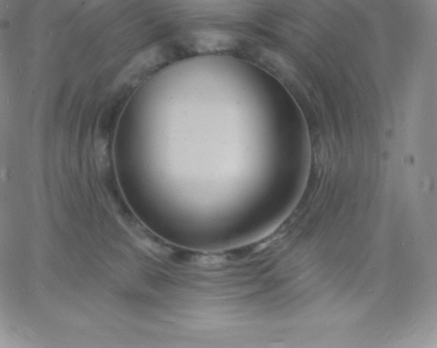 X0000060740327200511241644