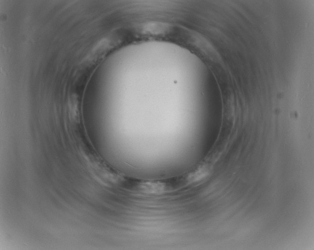 X0000060740328200511241644