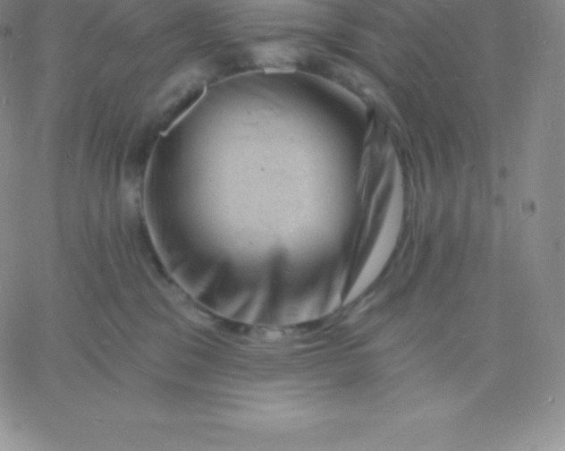 X0000060740329200511241644