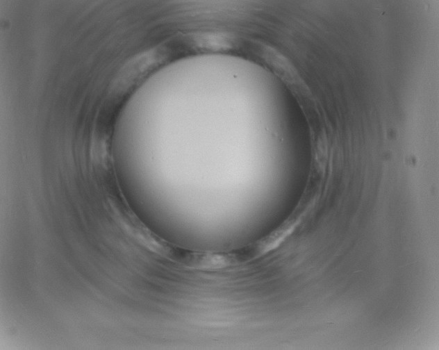 X0000060740330200511241644