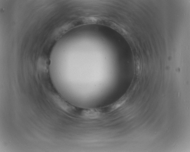 X0000060740331200511241644