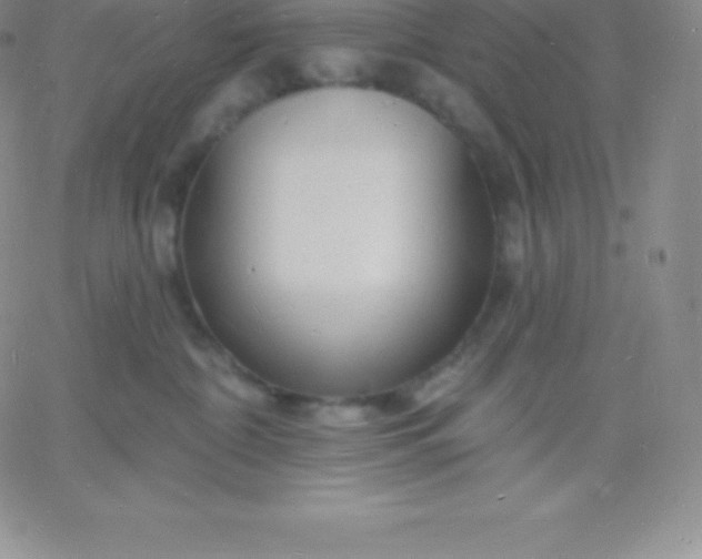 X0000060740332200511241644