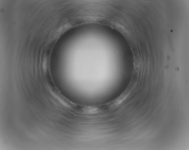 X0000060740334200511241644