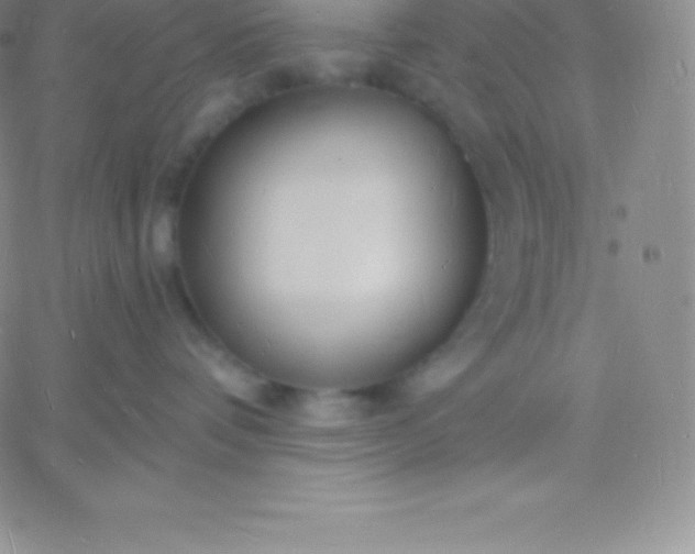 X0000060740336200511241644