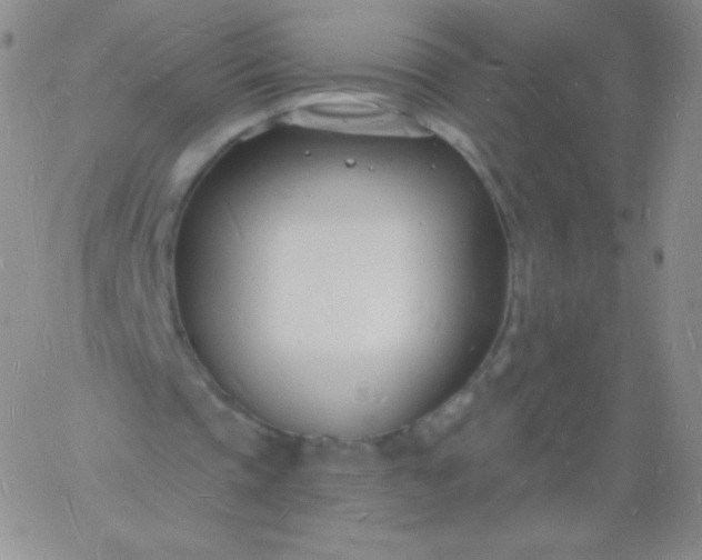 X0000060740337200511241643