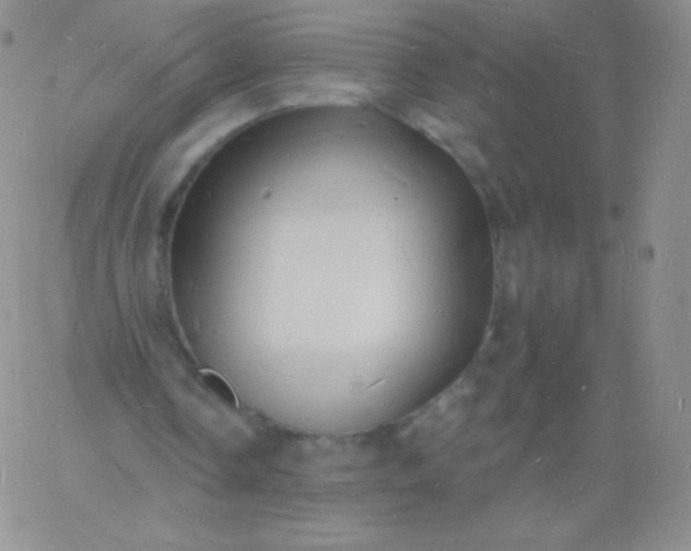 X0000060740338200511241643