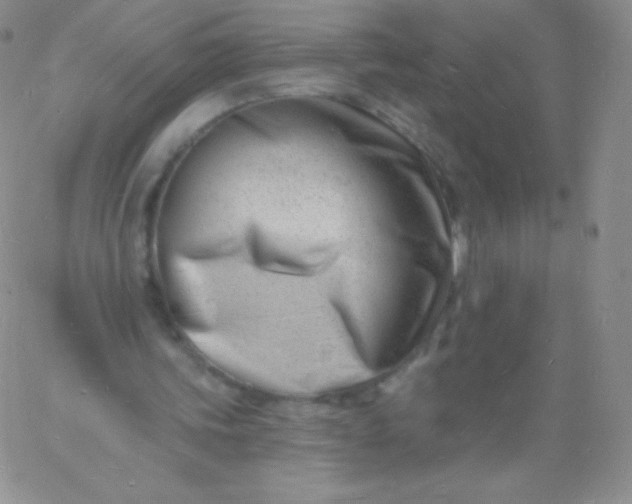 X0000060740339200511241643