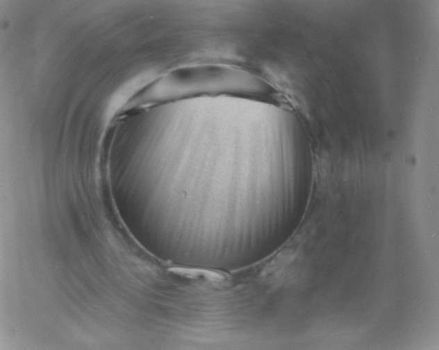 X0000060740340200511241643