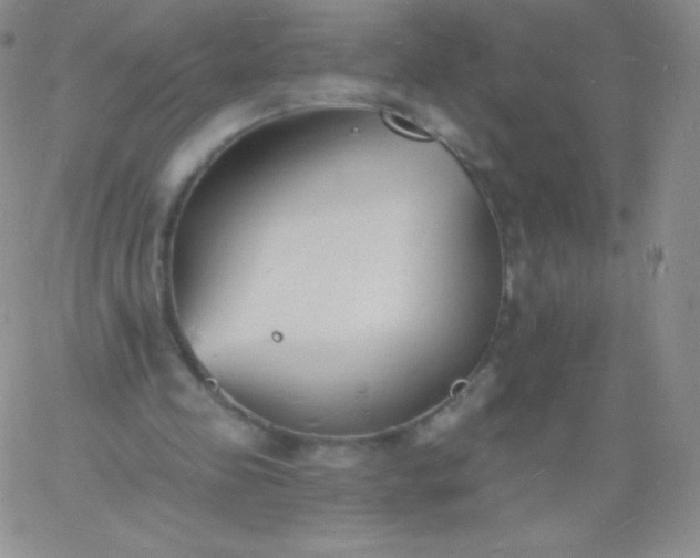 X0000060740341200511241643