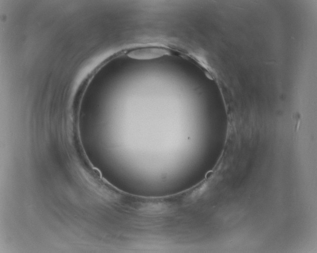 X0000060740342200511241643