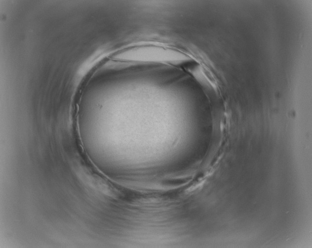 X0000060740344200511241643