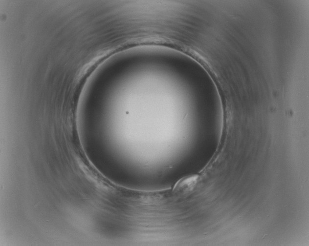 X0000060740345200511241643