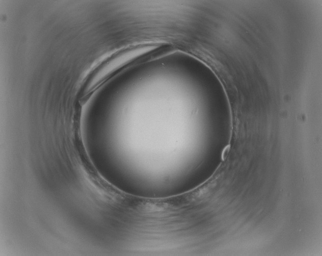 X0000060740346200511241643