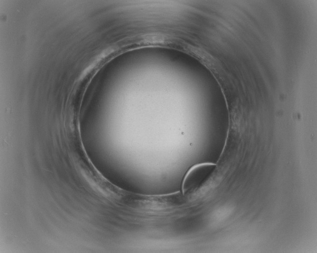 X0000060740347200511241643