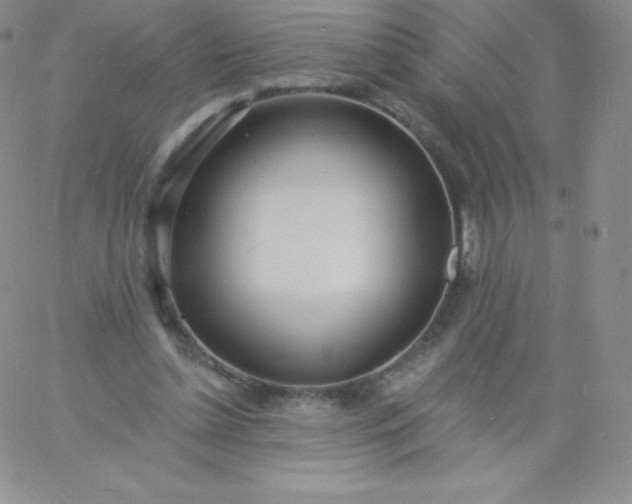 X0000060740348200511241643