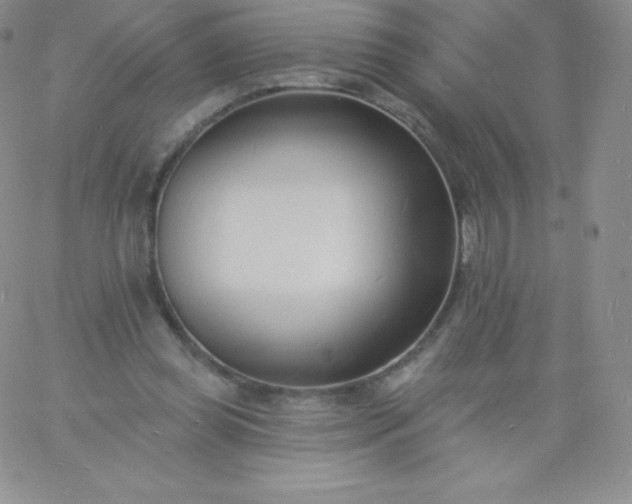 X0000060740349200511241644